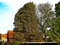 IMG_5542 (2)